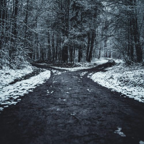 A road leading in two directions surrounded by snow and trees