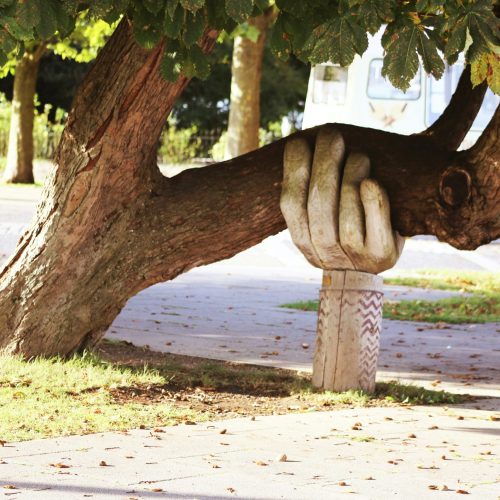 Tree held by wooden hand sculpture